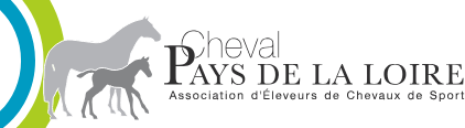 Cheval Pays de la Loire