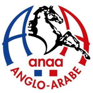 logo anaa