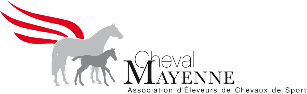 Cheval Mayenne