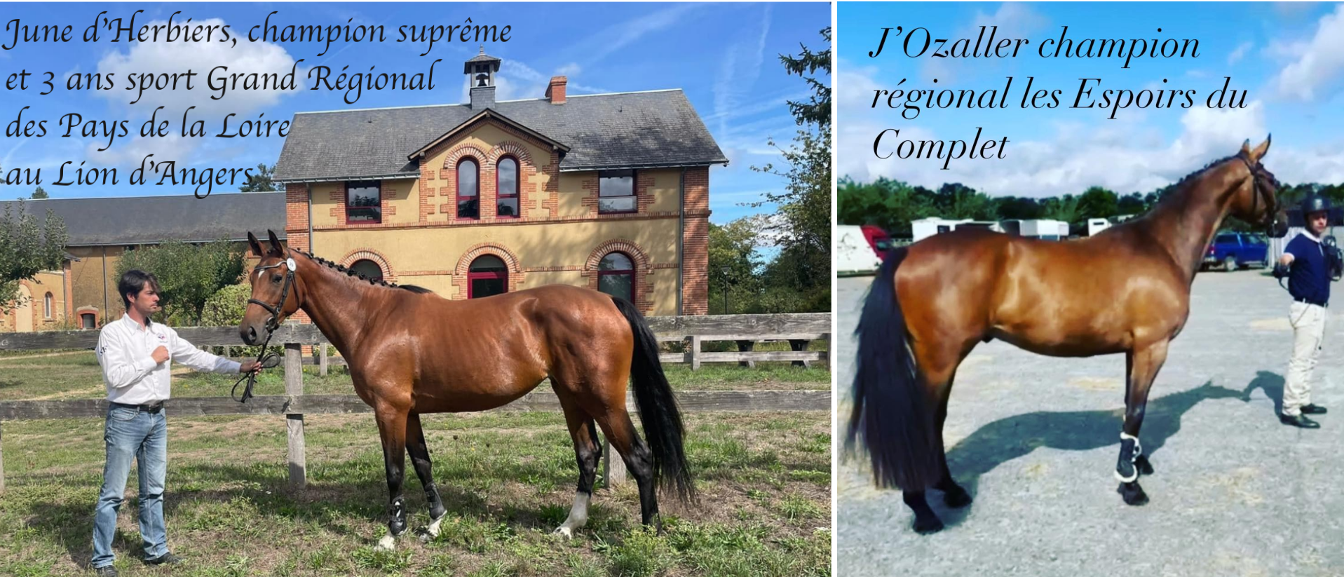 les champions 3 ans grand regional 