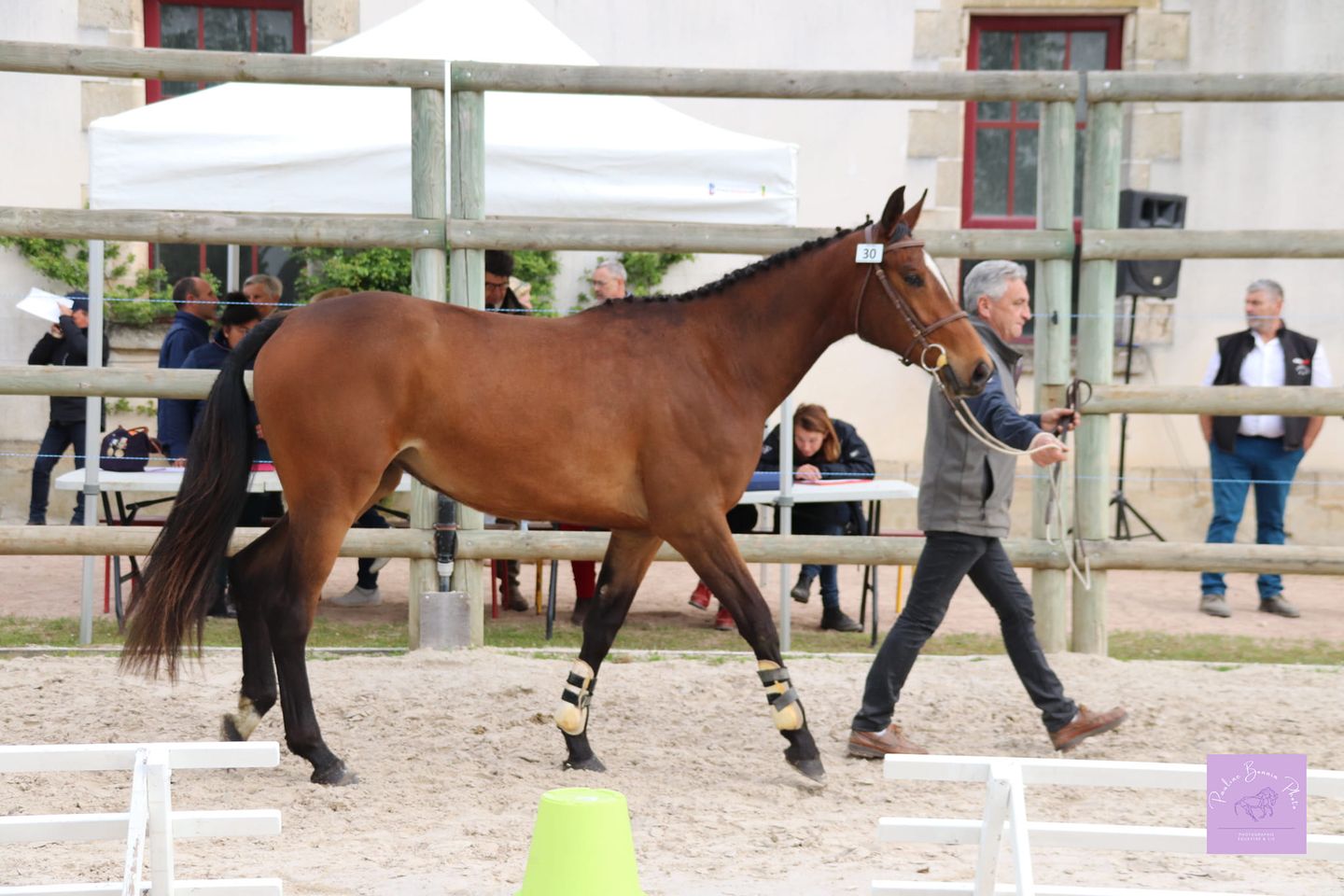 vainqueur 2 ans VF