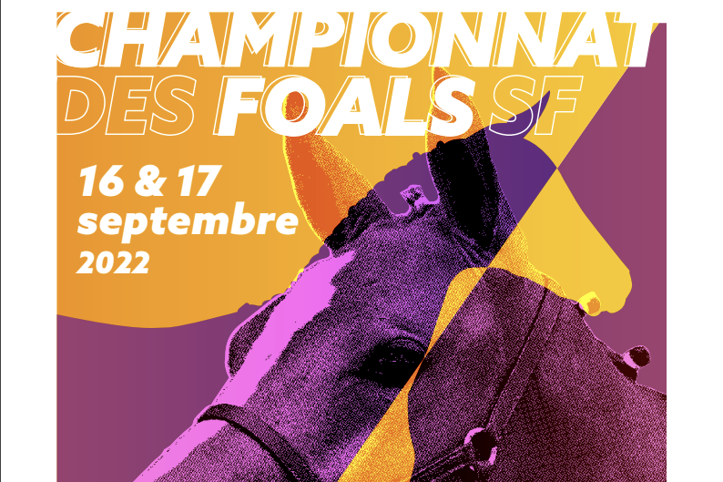 RESULTATS CHAMPIONNAT DE FRANCE DES FOALS SELLE FRANÇAIS 2022