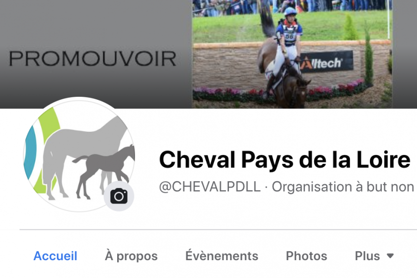 ACTUALITES FACEBOOK https://www.facebook.com/CHEVALPDLL