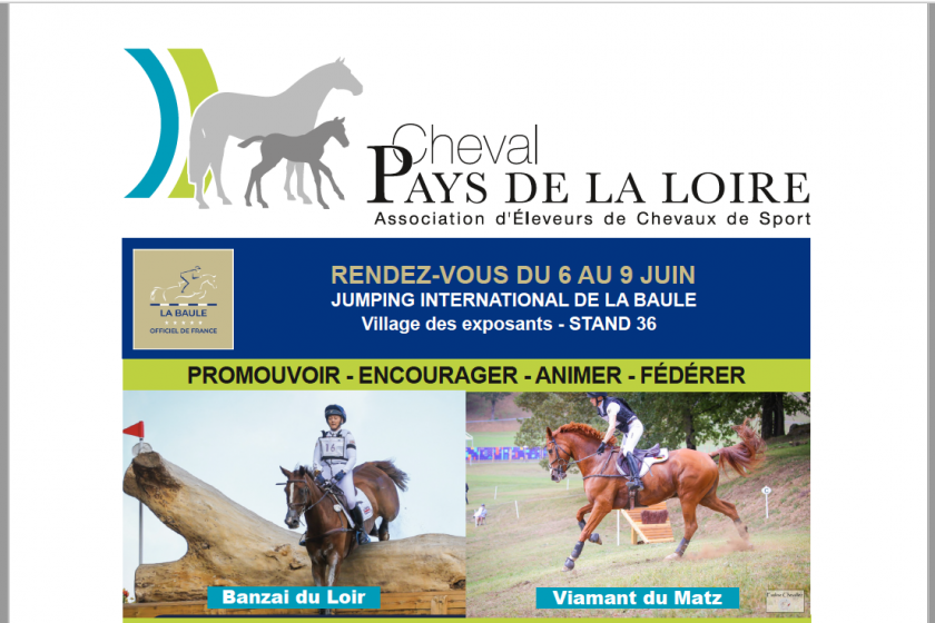RENDEZ-VOUS AU JUMPING DE LA BAULE DU 6 AU 9 JUIN 2024